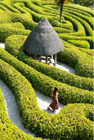 Green maze