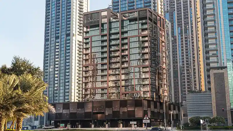 DT1
